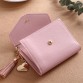 Mini women’s leather tassel wallet